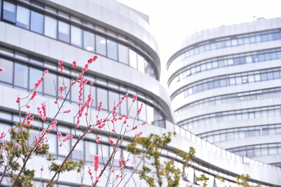  开元集团中药研究所研发中药1类新药车前子片获新药临床试验批件