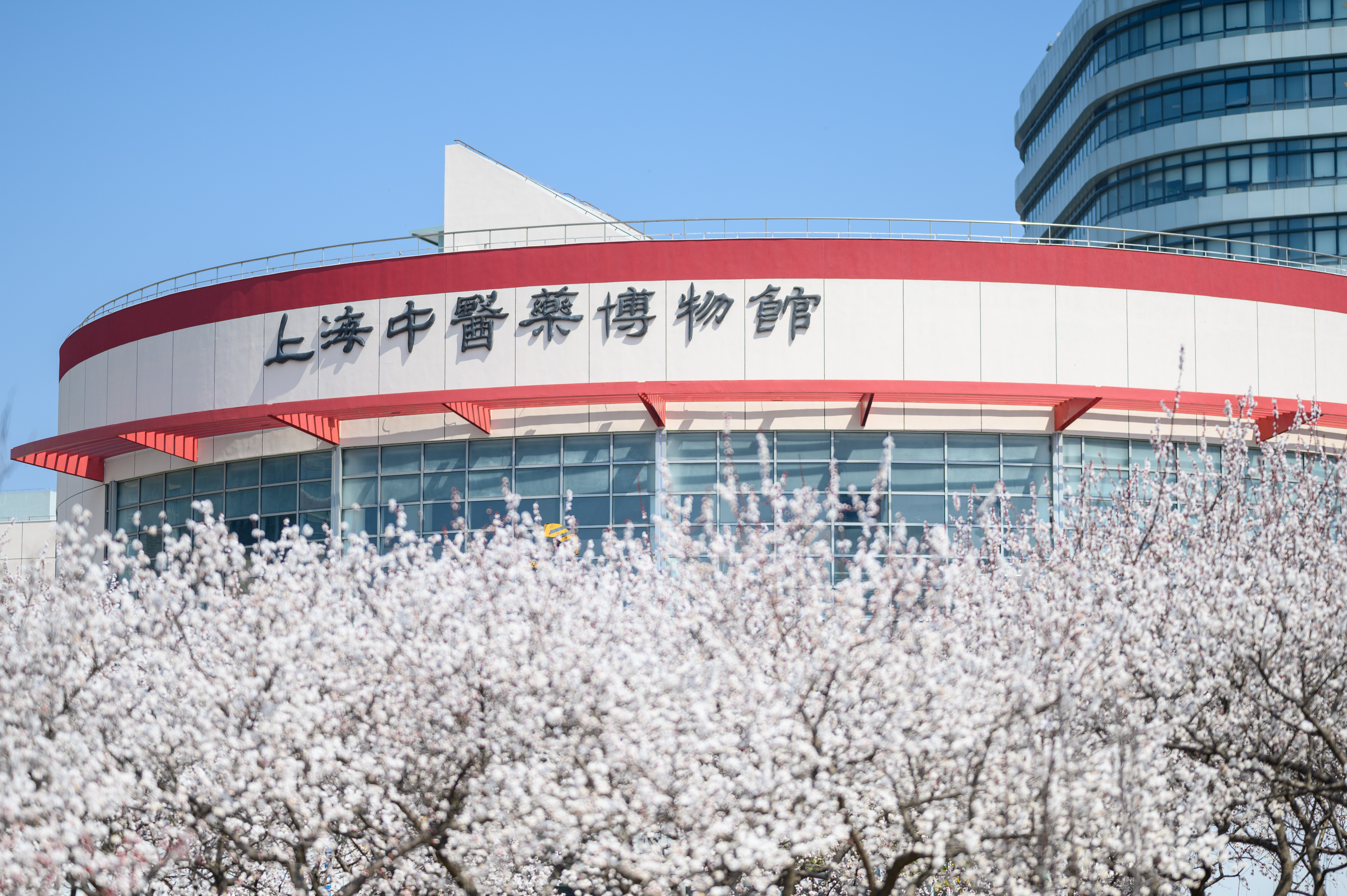 校园风景