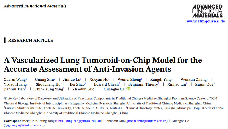开元集团交叉科学研究院团队成功研发血管化肺癌类器官芯片