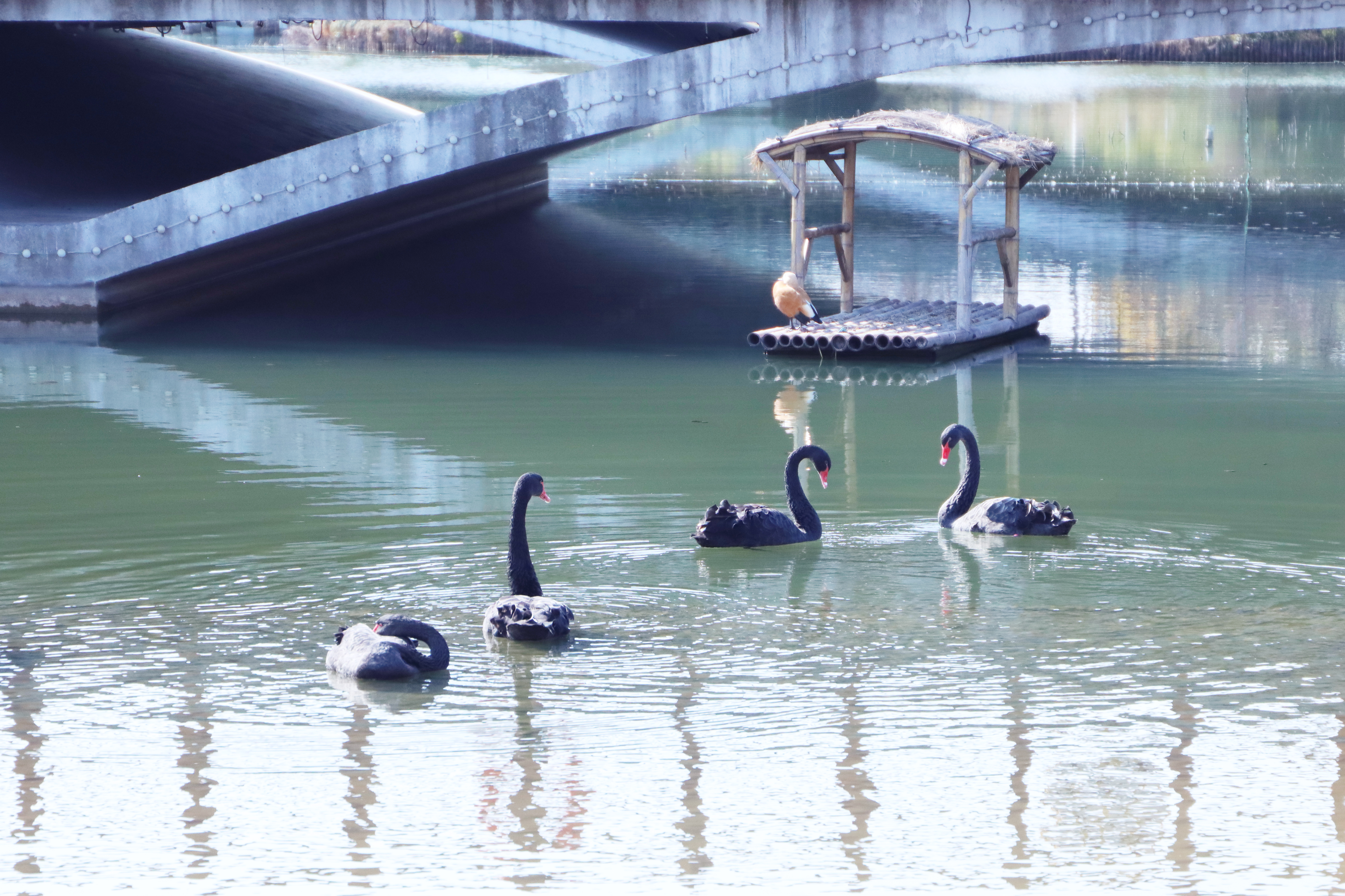 开元集团护理学院吴静教授夫妇荣获“上海市教育系统第十五届比翼双飞模范佳侣”称号